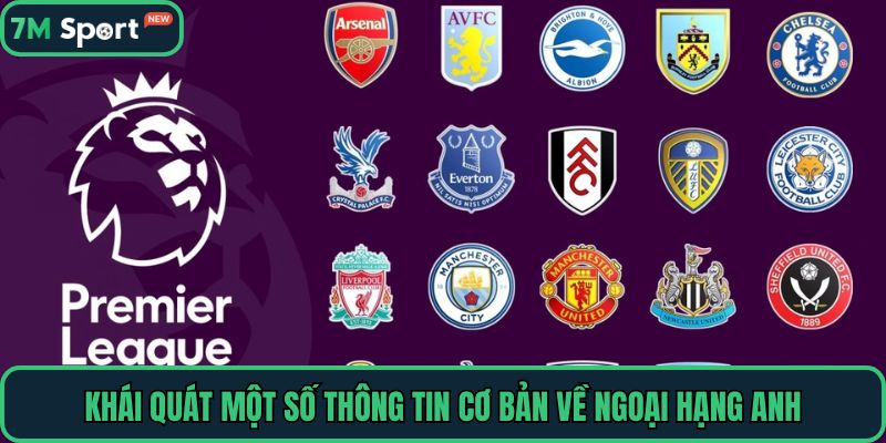 Khái quát một số thông tin cơ bản về Ngoại Hạng Anh
