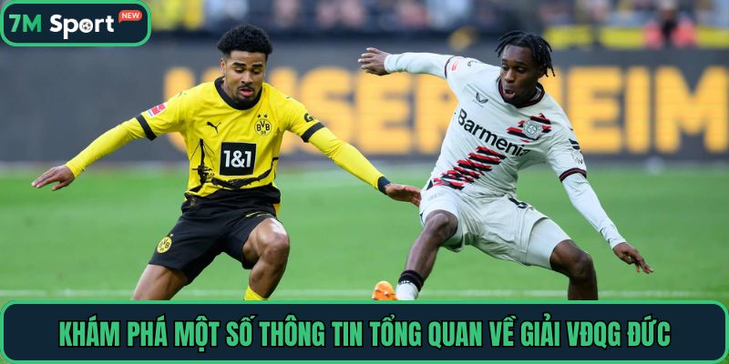 Khám phá một số thông tin tổng quan về giải VĐQG Đức
