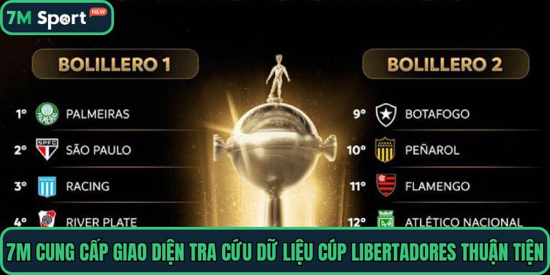 7M cung cấp giao diện tra cứu dữ liệu Cúp Libertadores thuận tiện