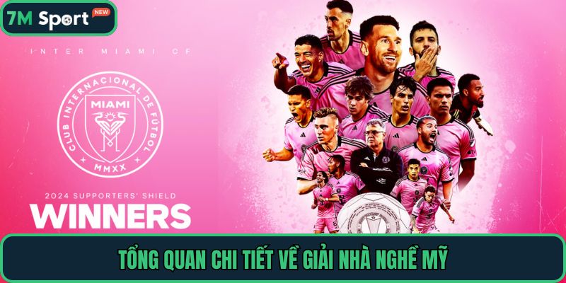 Tổng quan chi tiết về giải Nhà Nghề Mỹ
