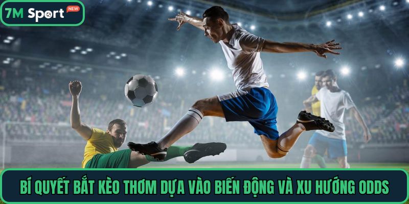 Bí quyết bắt kèo thơm dựa vào biến động và xu hướng odds