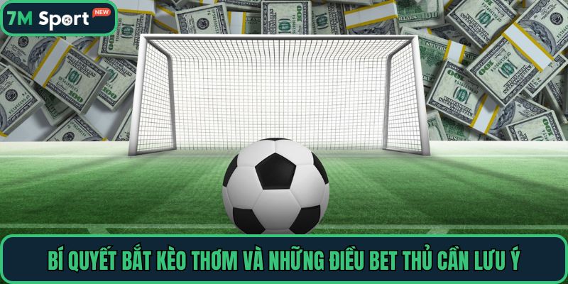 Bí quyết bắt kèo thơm và những điều bet thủ cần lưu ý