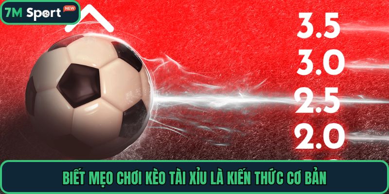 Biết mẹo chơi kèo tài xỉu là kiến thức cơ bản
