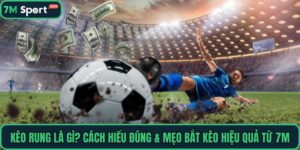 Kèo Rung Là Gì? Cách Hiểu Đúng & Mẹo Bắt Kèo Hiệu Quả Từ 7M