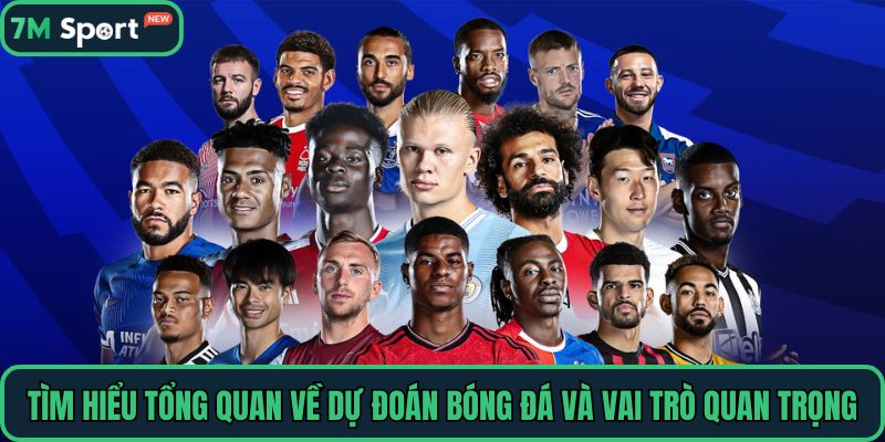 Tìm hiểu tổng quan về dự đoán bóng đá và vai trò quan trọng