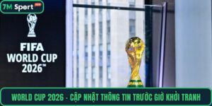 World Cup 2026 – Cập Nhật Thông Tin Trước Giờ Khởi Tranh